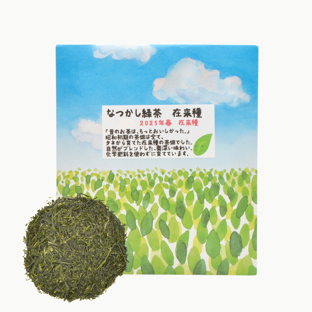 なつかし緑茶在来種 – 和紅茶とさしま茶専門店 TEAISM公式オンライン